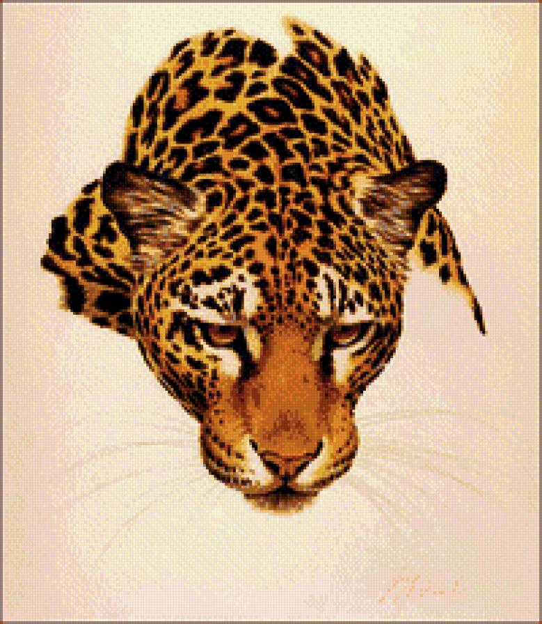 леопард - кошки, животные, леопарды - предпросмотр