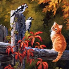 Схема вышивки «наблюдатель»