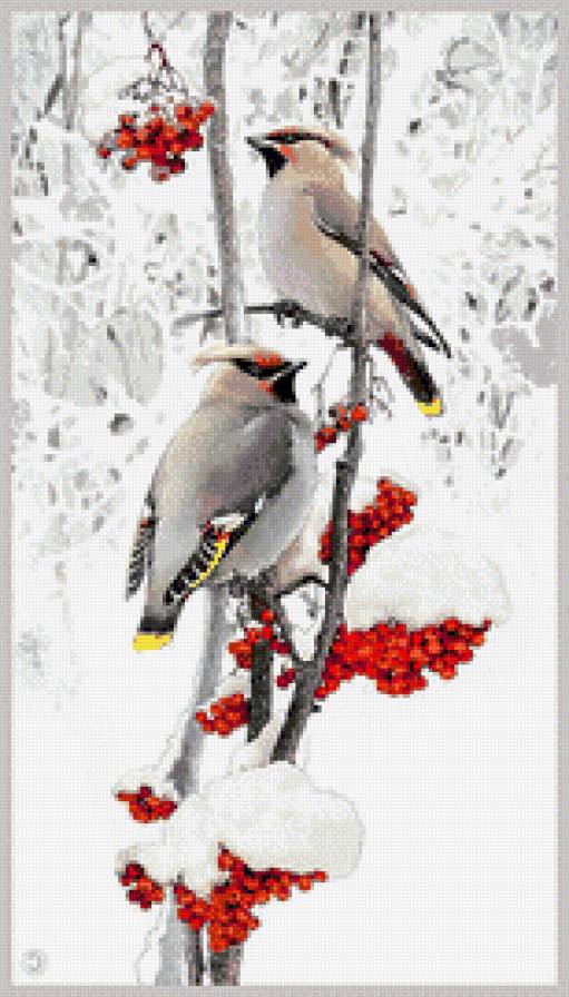 Zima - предпросмотр