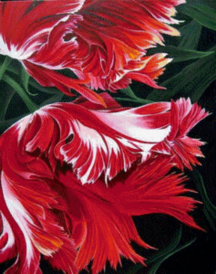 №528122 - цветы - предпросмотр