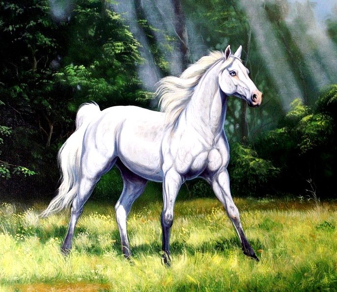 №528131 - животные - оригинал