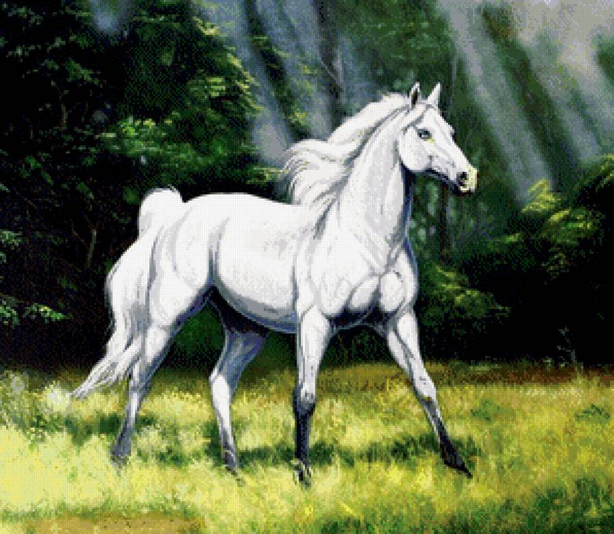 №528131 - животные - предпросмотр