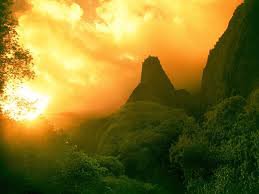 №528142 - оригинал