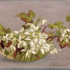 Схема вышивки «№528248»