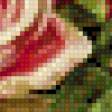 Предпросмотр схемы вышивки «№528250»