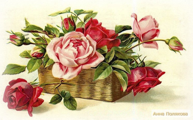 №528250 - оригинал