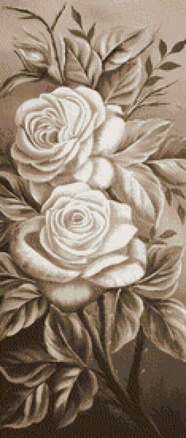 Розы - розы, монохром, цветы, сепия - предпросмотр