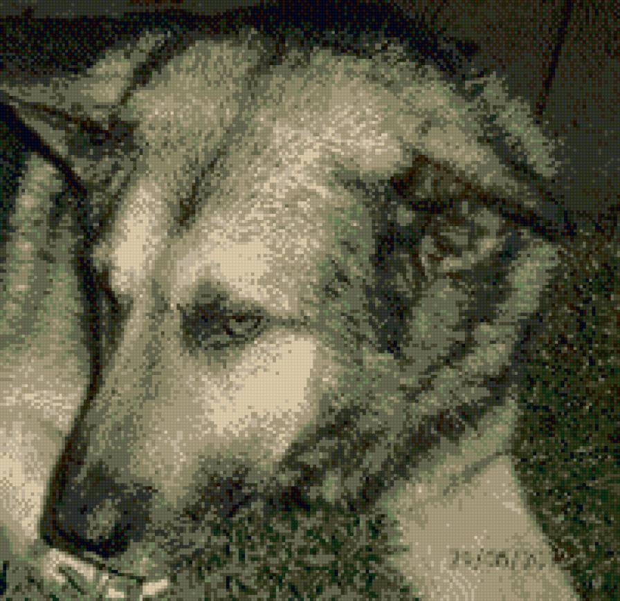 Пес - животные, собаки - предпросмотр