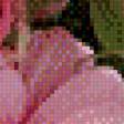 Предпросмотр схемы вышивки «розовые розы» (№528424)