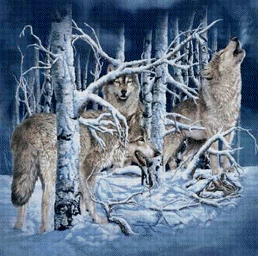 Волки - волк, животные - предпросмотр