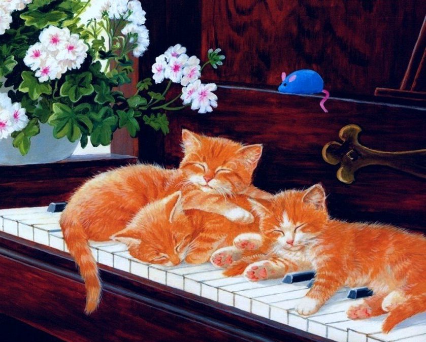 Рыжие котятя спят на пианино - пианино, кот, животные, кошка, музыка - оригинал