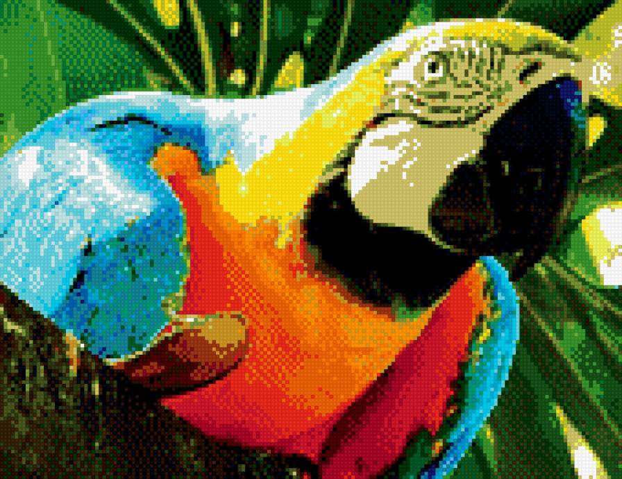 попугай - предпросмотр