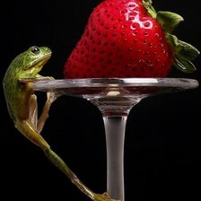 Схема вышивки «№528839»