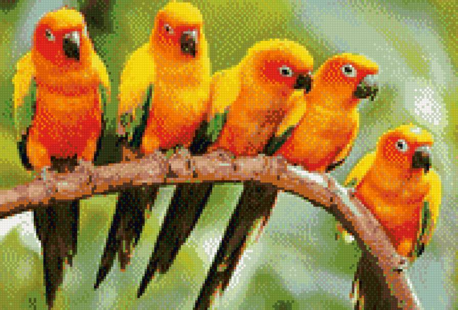 на ветке2 - предпросмотр