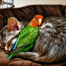 Схема вышивки «дружба»