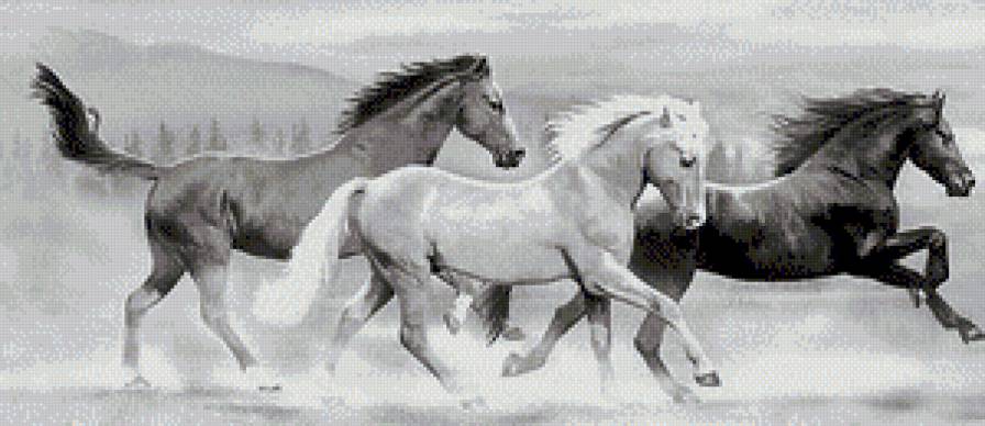 Быстрее ветра... - животные, монохром, лошади - предпросмотр