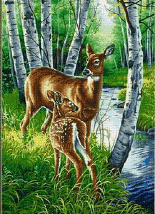 картина - картина - предпросмотр