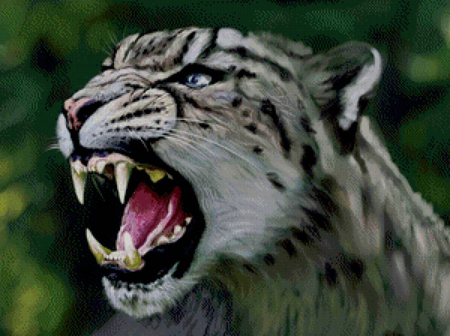 хищник - рык, барс, живопись, оскал - предпросмотр