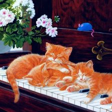 Оригинал схемы вышивки «три котенка на рояле» (№529040)