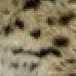 Предпросмотр схемы вышивки «рысь» (№529047)