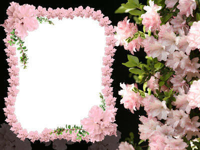 рамка - рамка для фото, цветы - оригинал