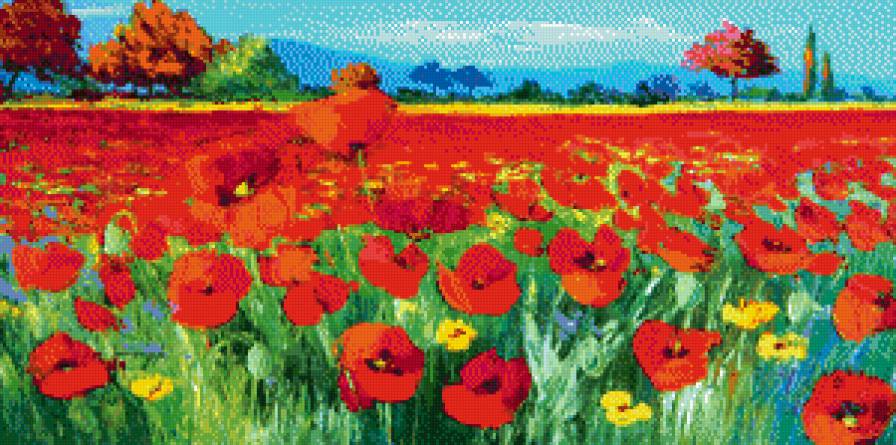 Поле маков - маки, цветы, поле, пейзаж - предпросмотр