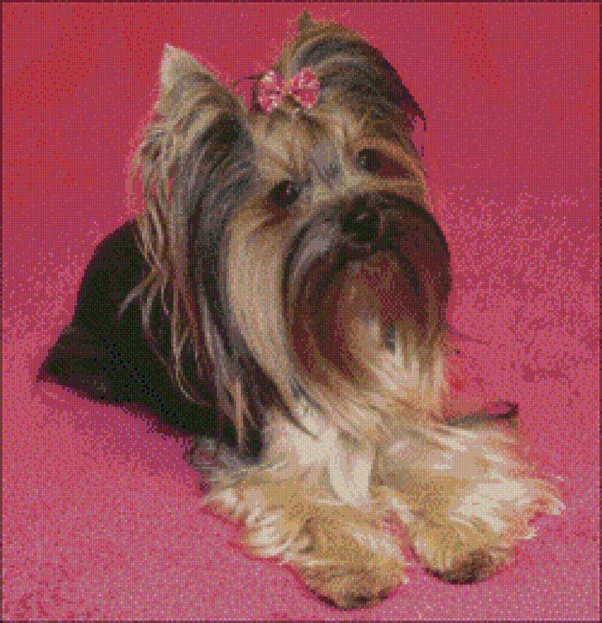 Пробная моя - предпросмотр