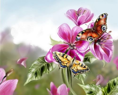 Бабочка на цветке - бабочка, цветы - оригинал