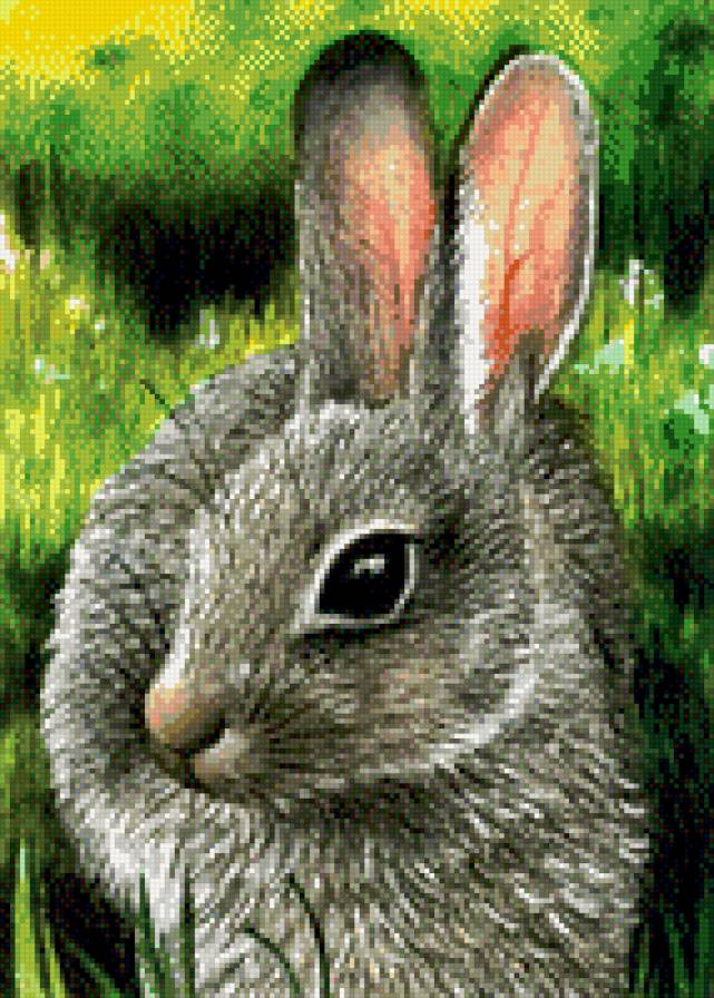 0177 - красота, животные, лето, заяц, картина, природа - предпросмотр