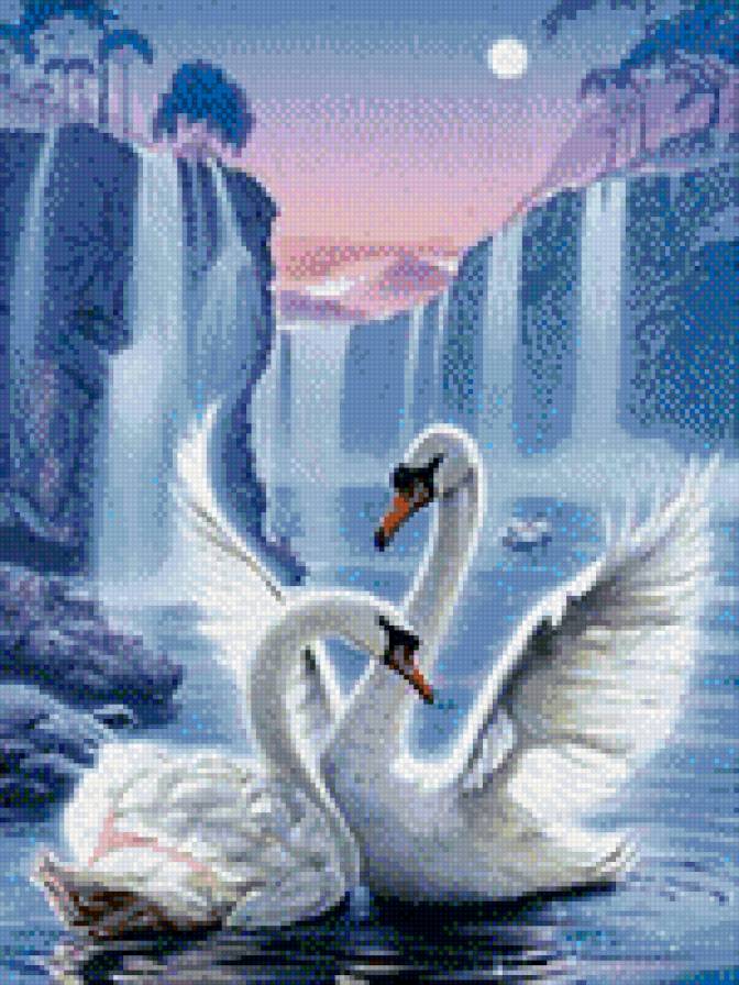 0180 - природа, ночь, вода, птицы, лебедь, картина, лебеди, красота - предпросмотр