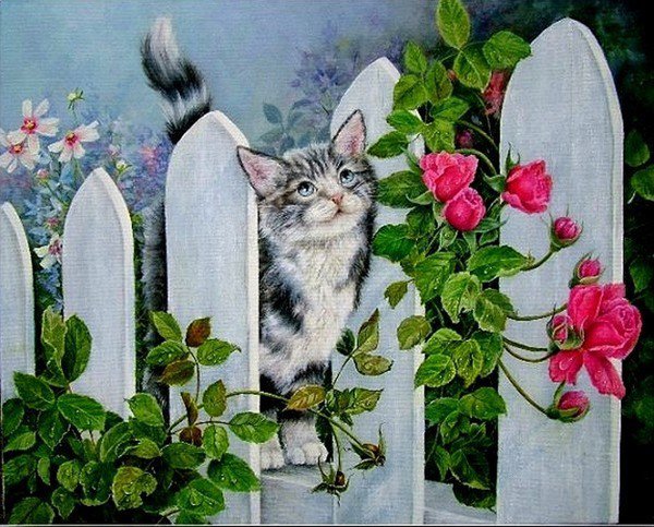 Котёнок на заборе - кошки, лето, природа, село - оригинал
