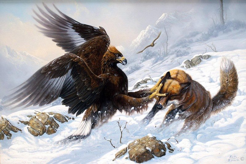 №529540 - зима, животные - оригинал