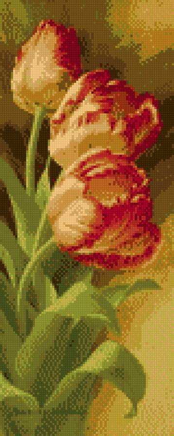 тюльпаны - тюльпаны, цветы, красота - предпросмотр