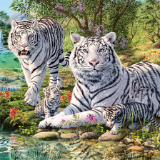 Оригинал схемы вышивки «белые  тигры» (№529670)