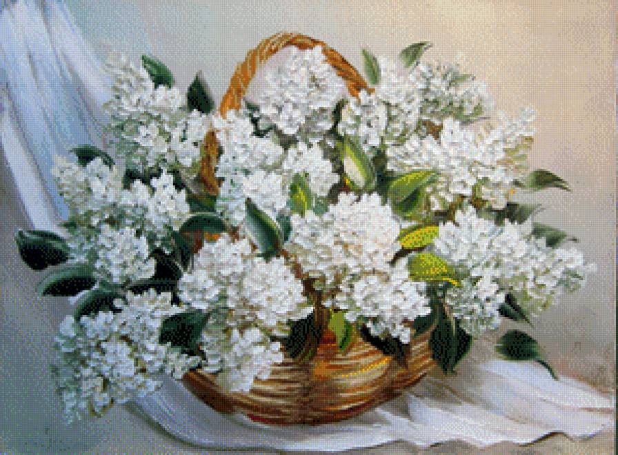 белая сирень в корзине - цветы - предпросмотр