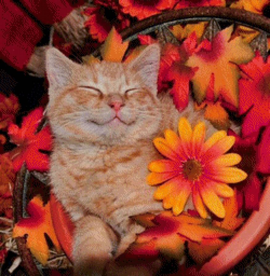 Котенок - животные, коты - предпросмотр