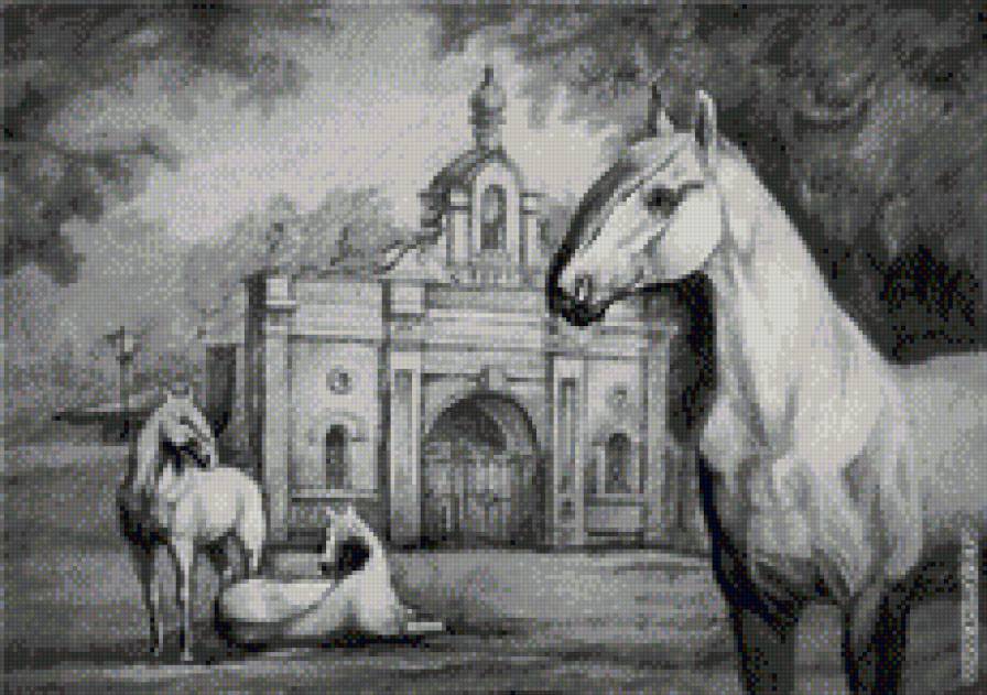 красивые лошади (подборка) - пейзаж, монохром, год лошади, лошадь, кони - предпросмотр