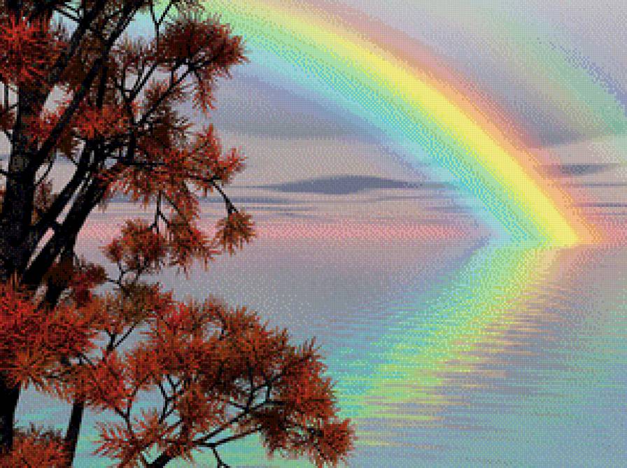 Океан - море, цветы, листья, радуга, осень, океан, воды - предпросмотр