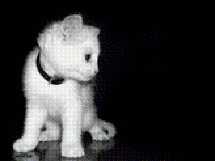 Белый котенок - котенок кошки котик киска - предпросмотр