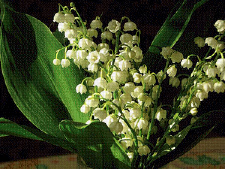 №529985 - предпросмотр