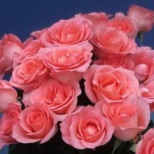 Схема вышивки «№529988»