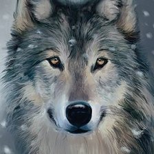 Оригинал схемы вышивки «Волк» (№530000)