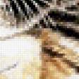 Предпросмотр схемы вышивки «Тигры» (№530168)