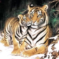Схема вышивки «Тигрица»
