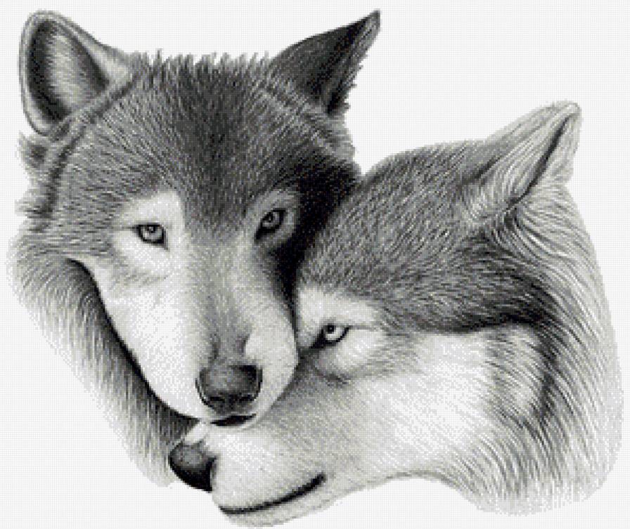 Это любовь... (вариант для черной канвы) - животные, пара, волки, монохром - предпросмотр