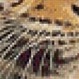 Предпросмотр схемы вышивки «Леопард в зарослях (живопись)» (№530426)