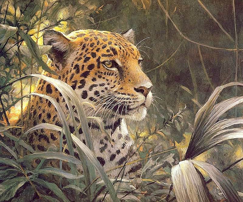 Леопард в зарослях (живопись) - живопись, большие кошки, животные, леопард, картины - оригинал