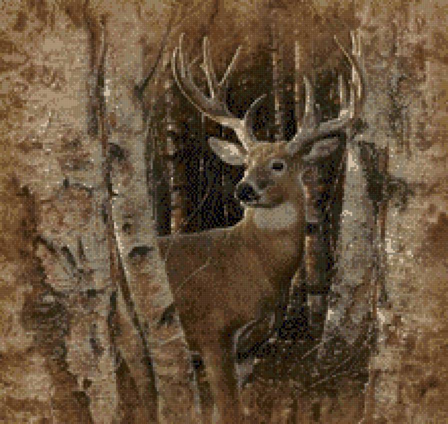 Олень Коллин Богл - предпросмотр