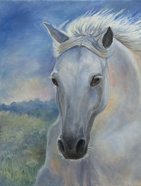 лошадь - оригинал