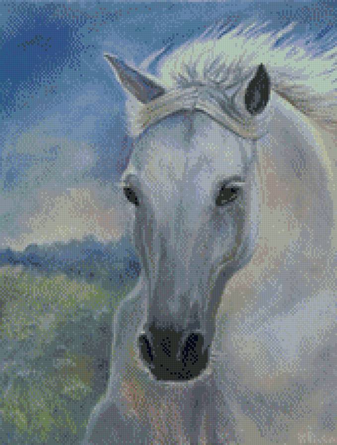 лошадь - предпросмотр